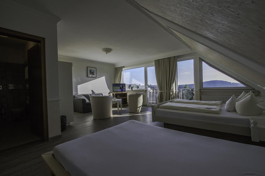 Hotel Schneider Winterberg Rum bild