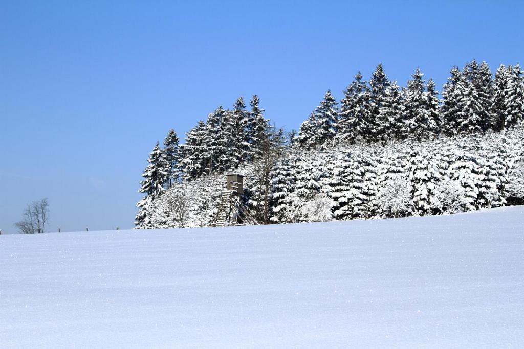 Hotel Schneider Winterberg Exteriör bild